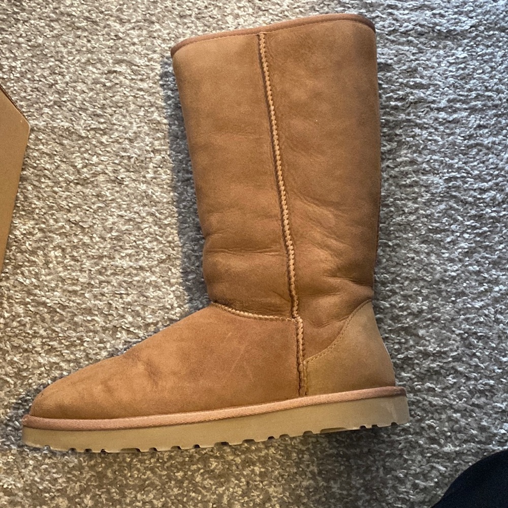 Tall Chestnut Ugg Boots